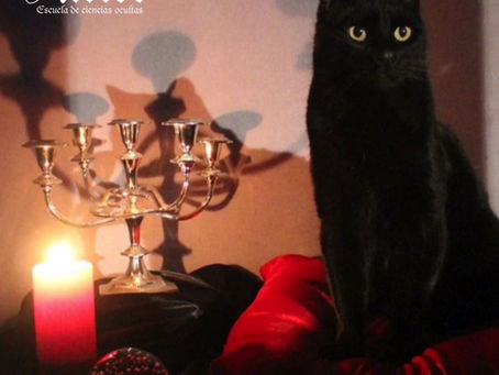 Gatos mágicos en la cultura pop