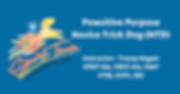 NTD Spark Team(1).png