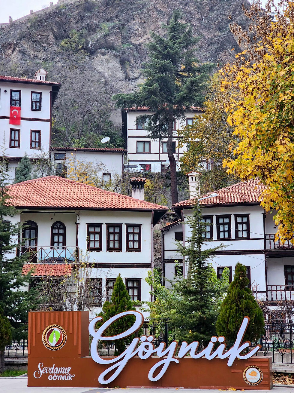 Göynük town center