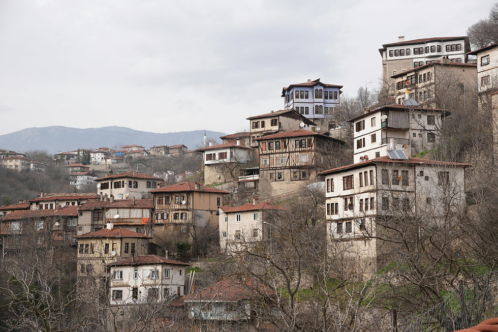 Safranbolu houses