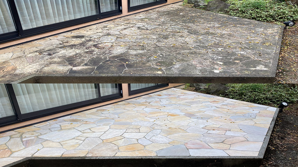 shutterstock_2069040929 (1).jpg