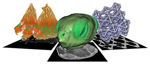 AMMS-web-image-scaled.jpg