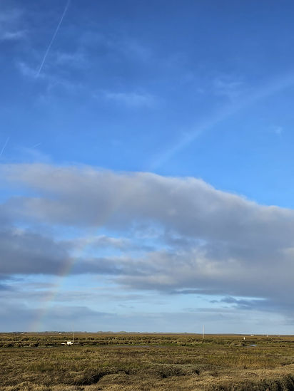 Saltmarsh Rainbow.jpg