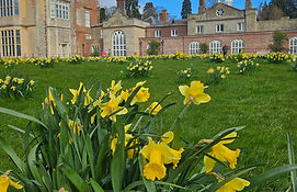 Felbrig dafo_edited.jpg