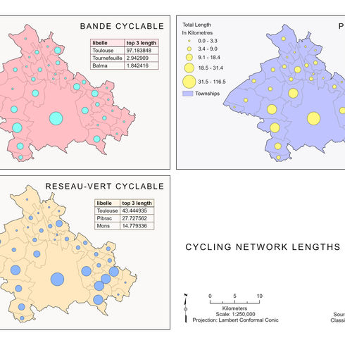 Cycling Network Map Layout