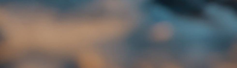 256883858_m.jpg
