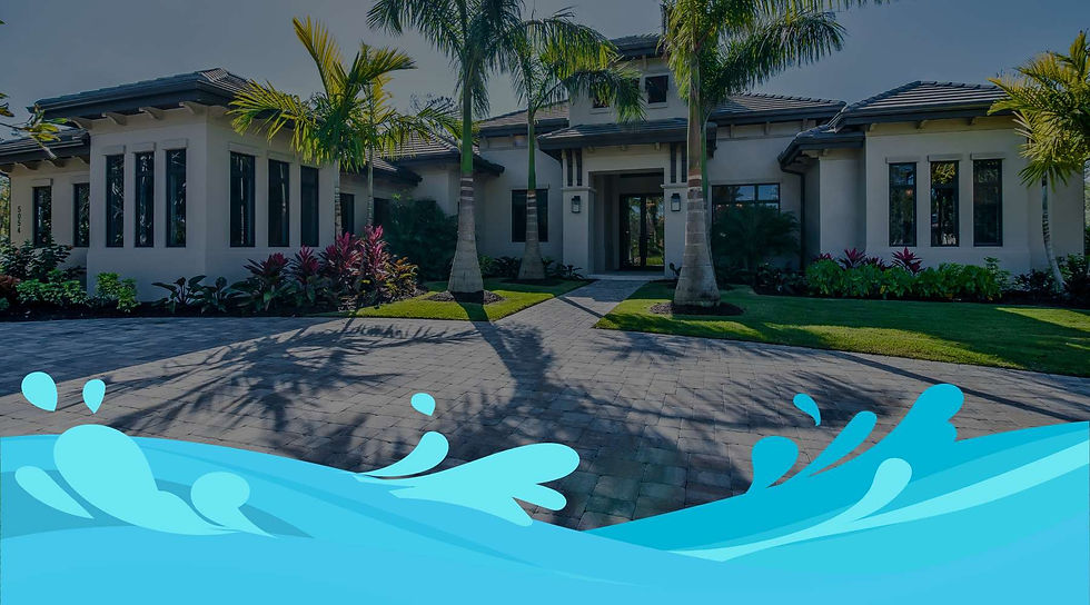 Roof Cleaning & Paver Sealing (5).jpg