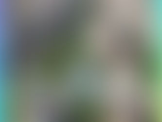 Exploring the Types of Roofs That Can Be Safely Cleaned Using Soft Washing