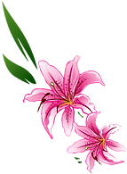 flower_edited.png