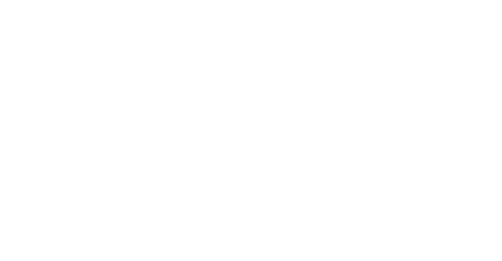 Primary Logo_White_edited.png