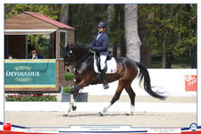 Dressage et para-dressage cote à cote