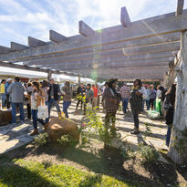 Wine and craft cocktails under the pergola. Photo by Emily Jaschke.jpeg