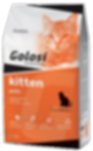 Golosi Cat Kitten
