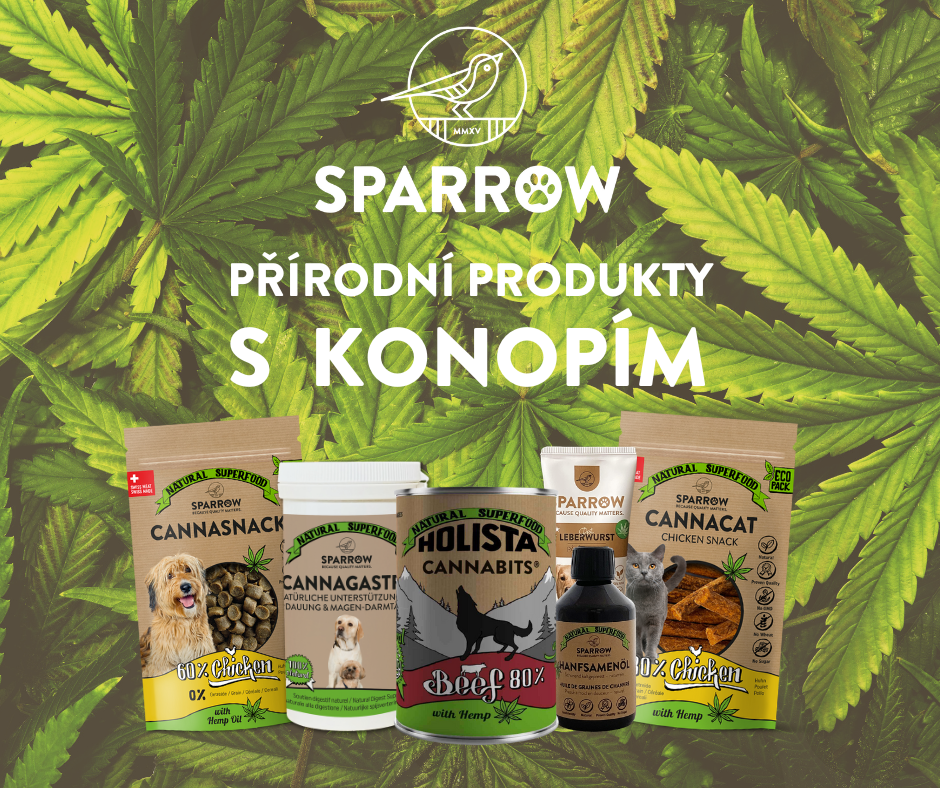 Konopí – superpotravina pro domácí mazlíčky 🌱
