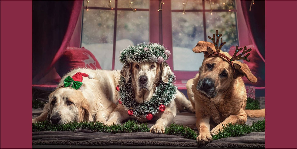 Vánoční otevírací doba 2024