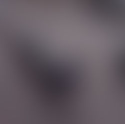 Vulcan pro bearing bar.