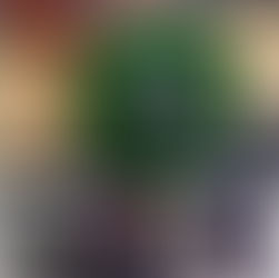 Bumper plate & barbell sets.