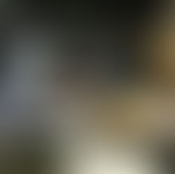 Thanks @urbanlifeathlete #whotrainswithvulcan #bumperplates