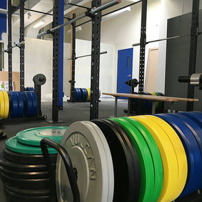 Vulcan rigs, bars, bumper plates and more