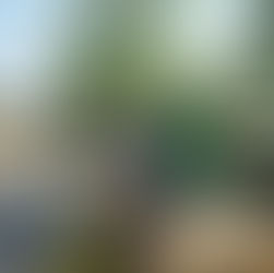 #whotrainswithVulcan #alliseeiskilos #Repost bukereedSky's out