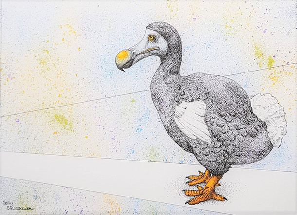 Dodo