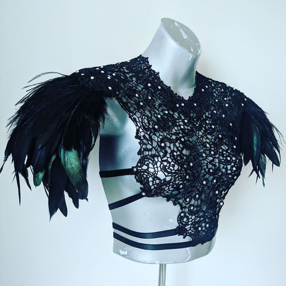 Black Lace Harness