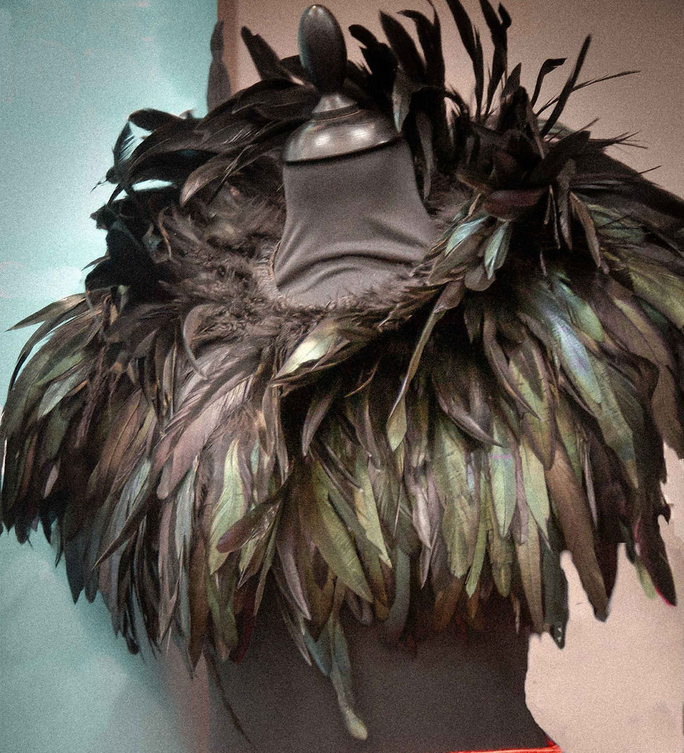 Black Coque Feather Collar Cape with Neck Curl