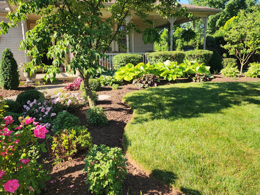 Landscaping Maintenance Tips
