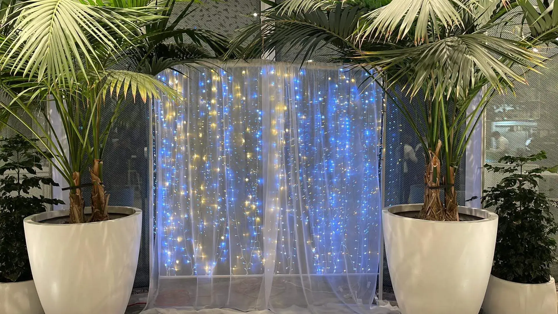 Fairy Light Curtain