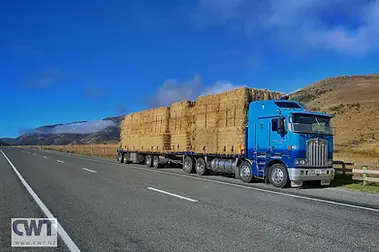 cwt-hay-buying-and-selling.webp