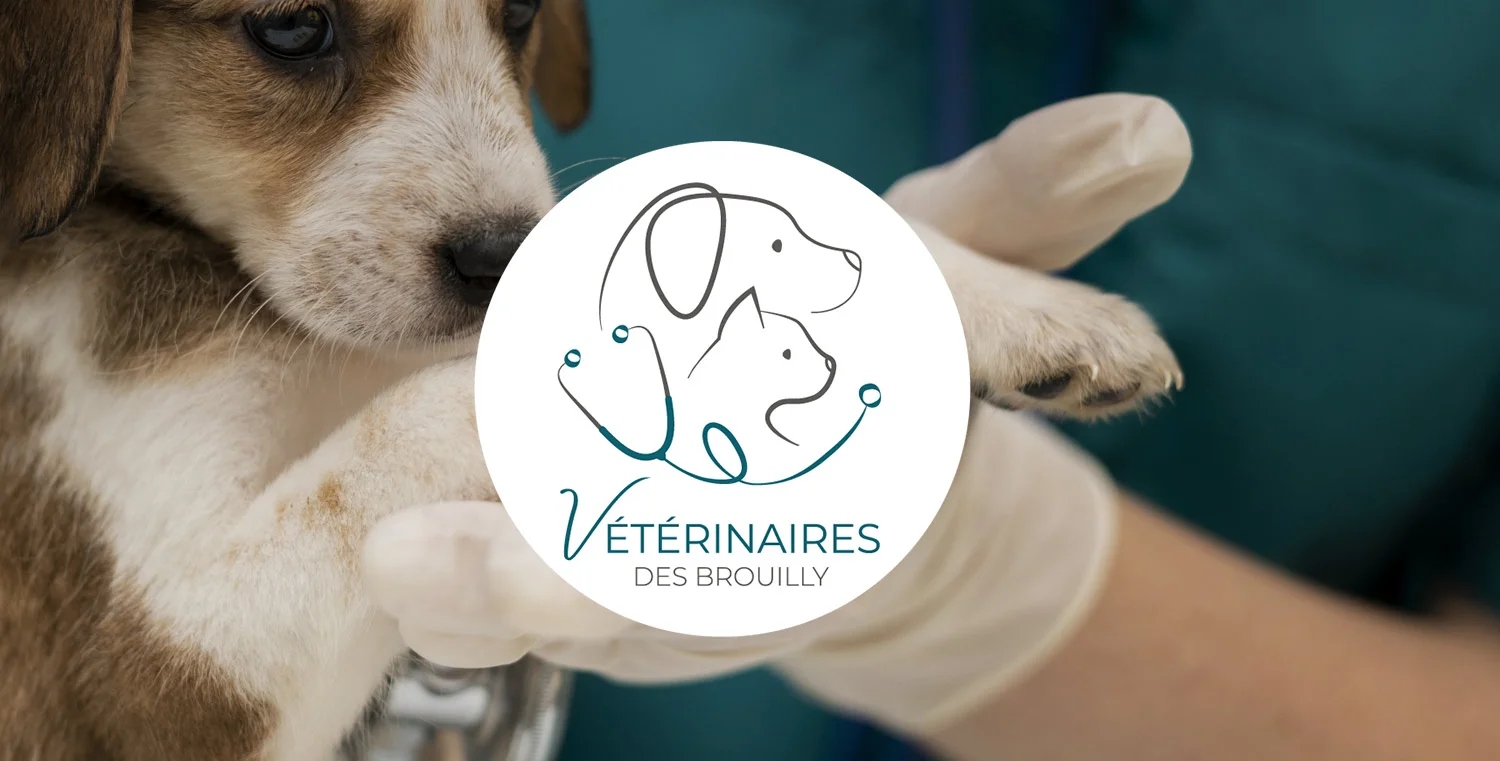 projet-identite-visuelle-veto-brouilly_header.webp