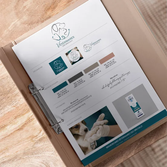 projet-identite-visuelle-veto-brouilly_home.webp