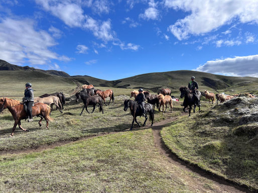 Everything You Need to Know Before Heading into the Highlands of Iceland