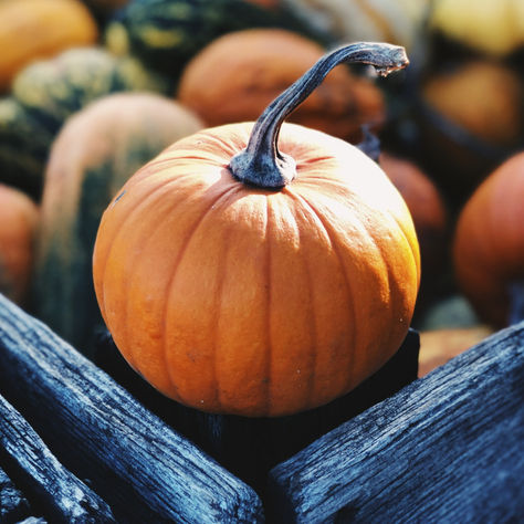 November is Pre-Tax Calculation Month