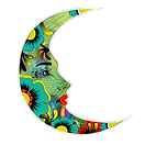 Luna Taqueria warner robins