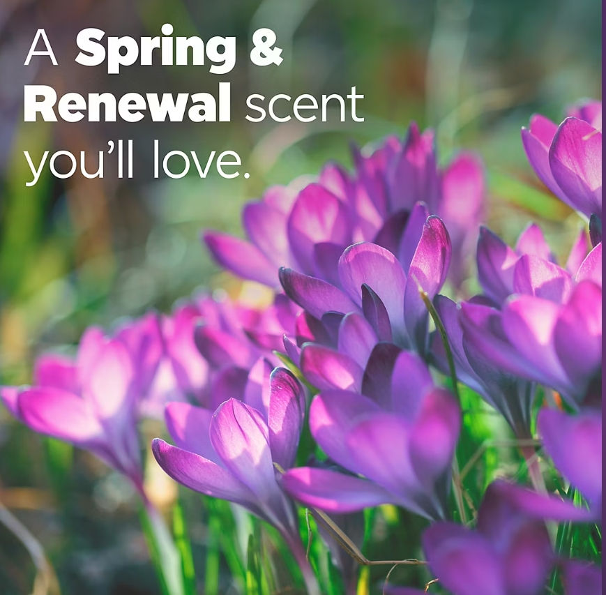 Thumbnail: Tide Power PODS with Febreze Odor Eliminators - Spring & Renewal, 72 ct.