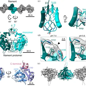 New Paper Published in Protein Science!