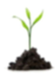 growth-hacking-retail2.jpg