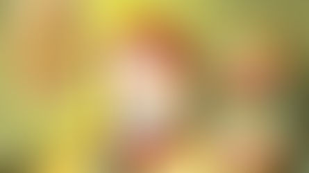 難怪德國人包攬世界一半的諾貝爾獎!來看人家小孩0-6歲學什麼!