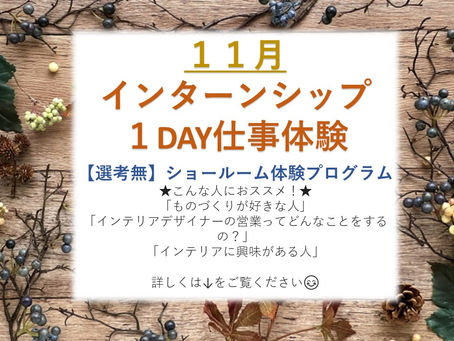11月ショールーム体験プログラム