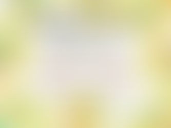夏季休暇のお知らせ📝
