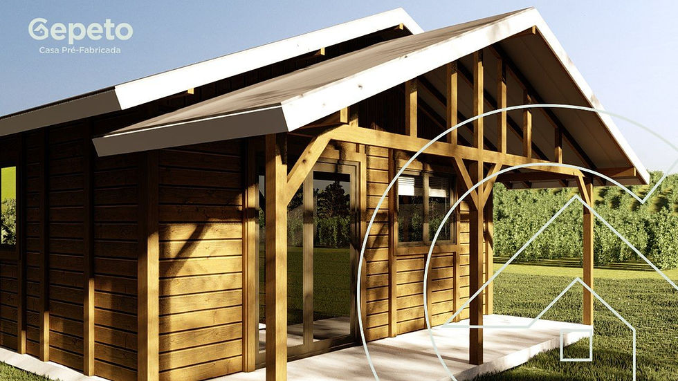 Miniatura: Modelo Conde II de 54M²