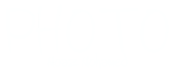 my logo.png