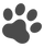 IMG_9711.PNG