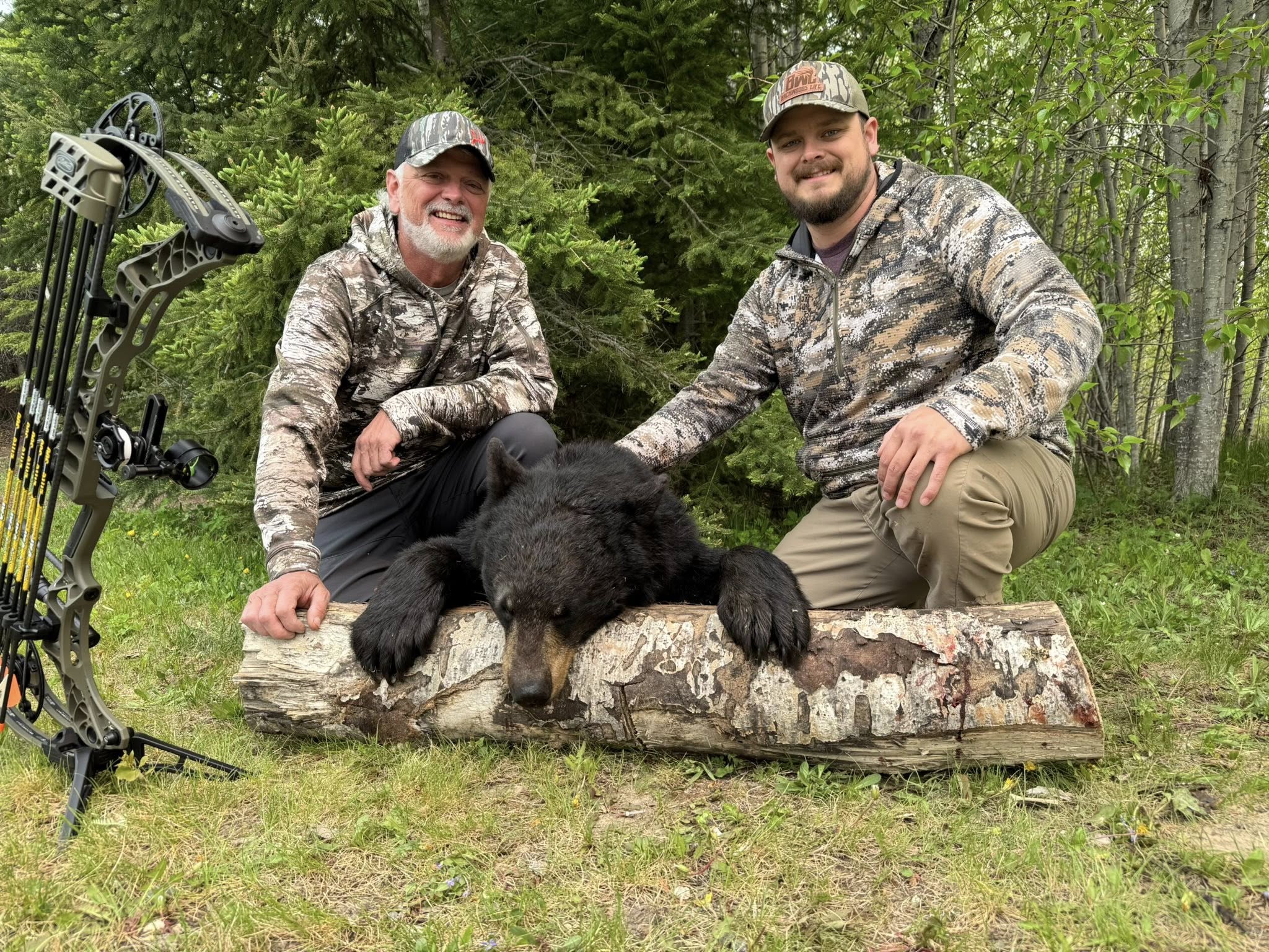 Black Bear Hunting Package — Northern Woods Lodge – Northern Woods Lodge