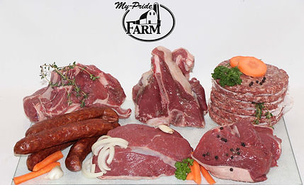 476075040_646173474431040_565562957535934010_n (1).jpg