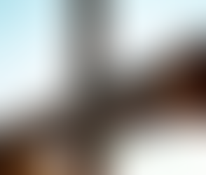 Truth Will Keep You Steadfast