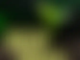 Review: Fresh Shoots (Drayton Arms Theatre)