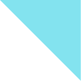 rectangle top smal.png