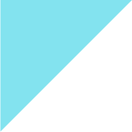 rectangle top smal.png